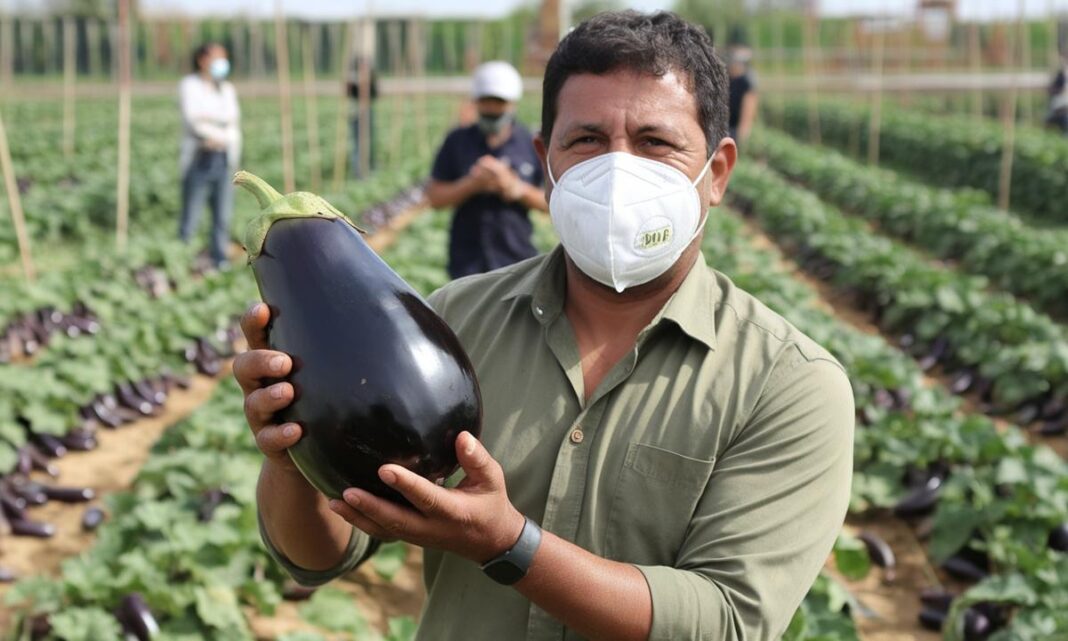 tajemnice-uprawy-bakazana-jak-osiagnac-sukces-w-ogrodzie-i-p